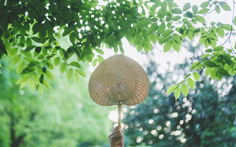 齐鲁医院德州医院立秋督灸：温通督脉的“能量疗法”，为健康注入暖阳